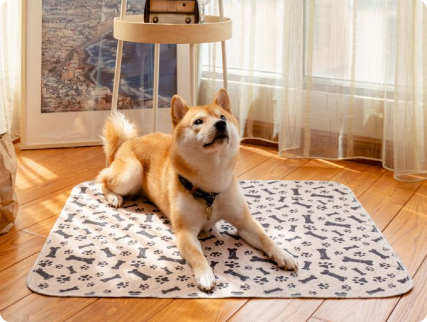 Premium Puppy Pads
