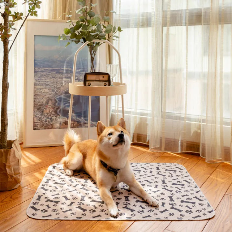 Puppy Training Pads
