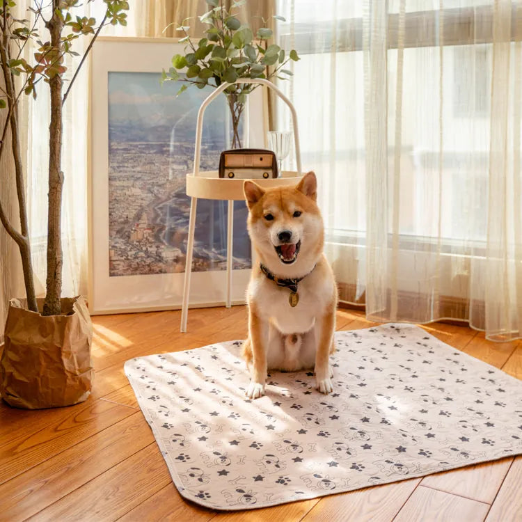 Puppy Training Pads